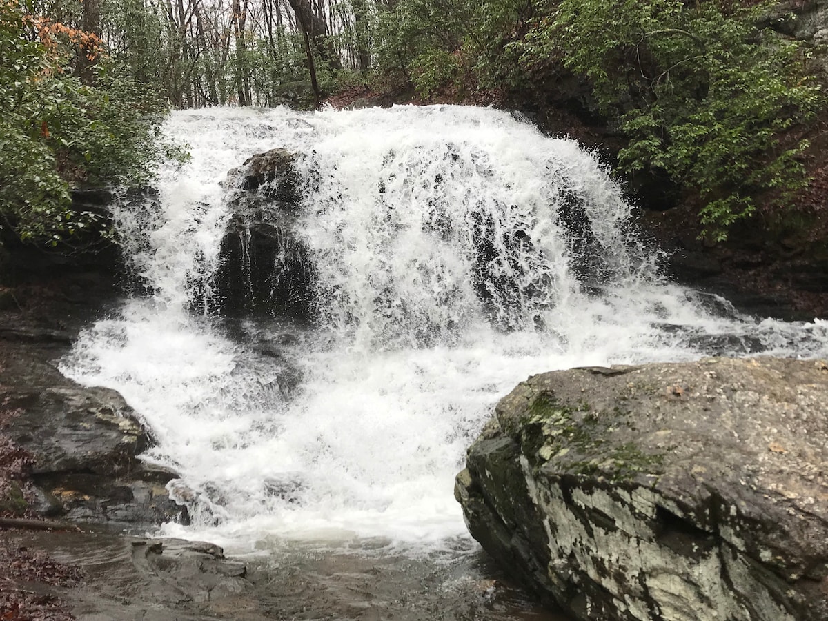 A cascading waterfall flows over dark rocks, surrounded by vibrant green foliage. The sound of rushing water can be imagined as it tumbles down into a rocky basin, creating a lively scene in a wooded area.