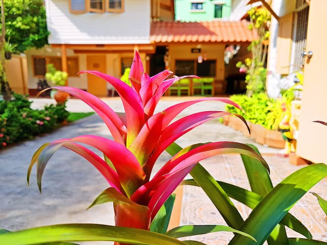 Entire Villa 20+ / Pool & Garden / Bangkok center gallery image 2