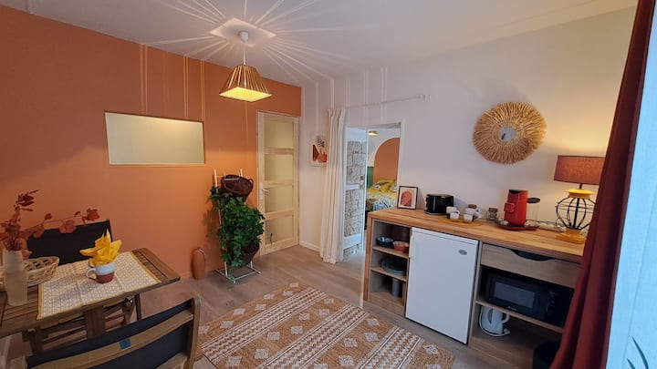 Petit Cocon Au Cœur De La Ville - Ibis Vesoul
