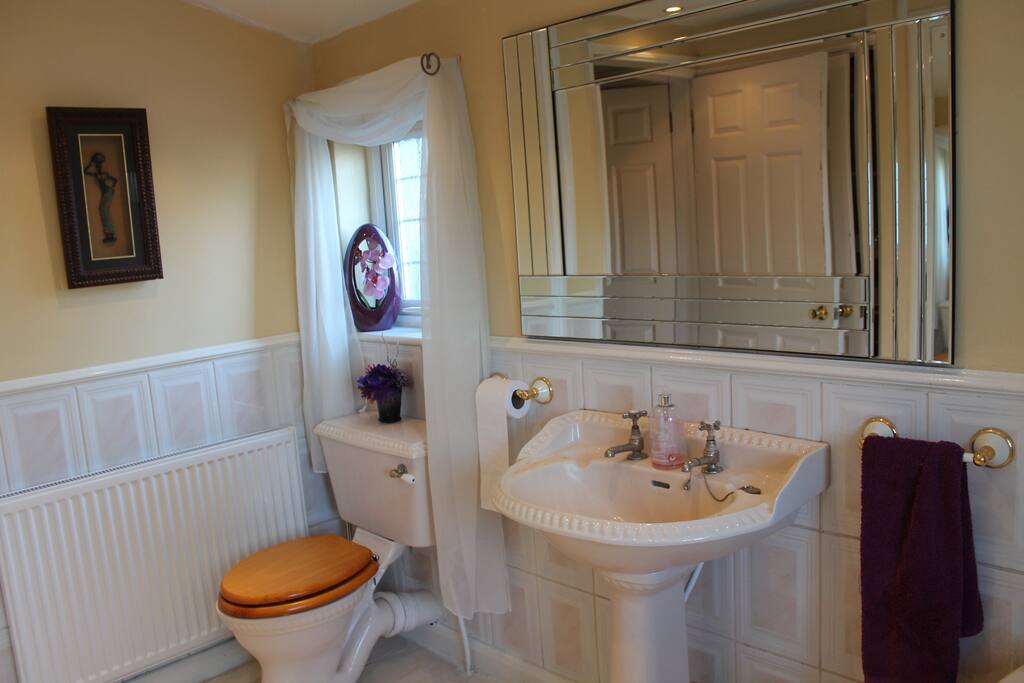 This is the toilet area of the bathroom