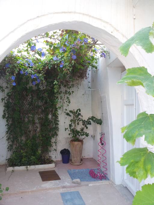 Petit patio