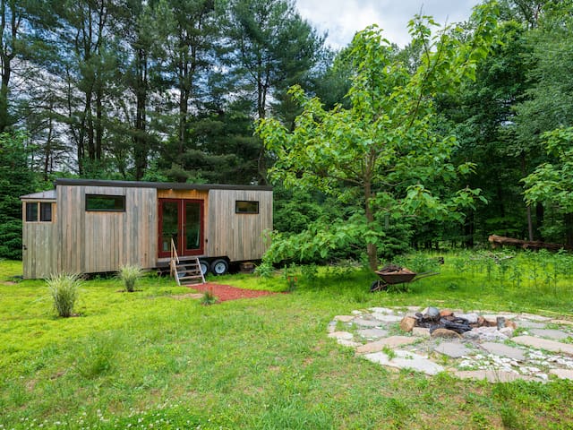 Dream Tiny's Sunny Meadow Bijou