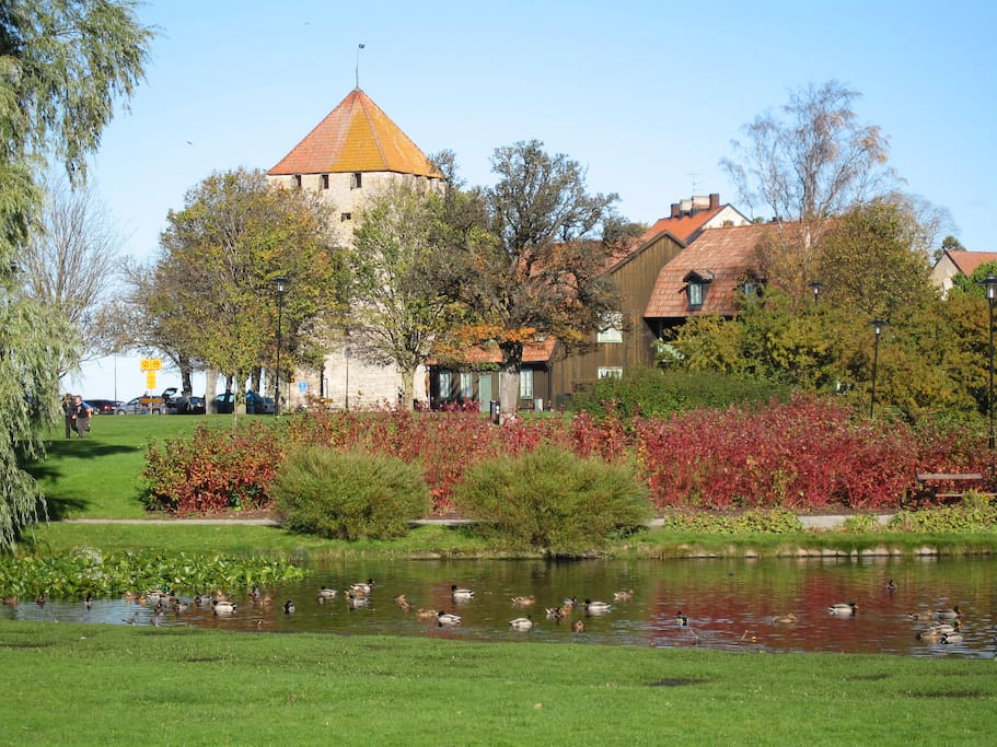 Almedalen