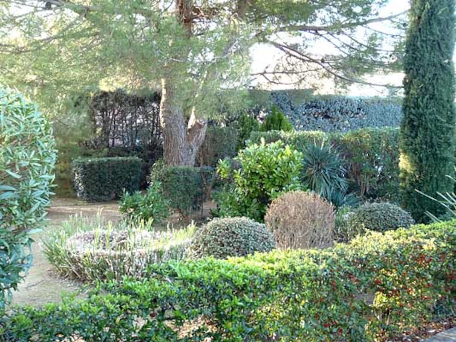 Jardin devant la résidence