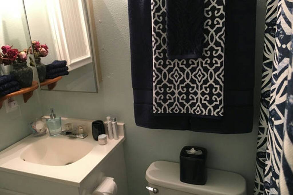 Shared bathroom between you and other airbnb guests