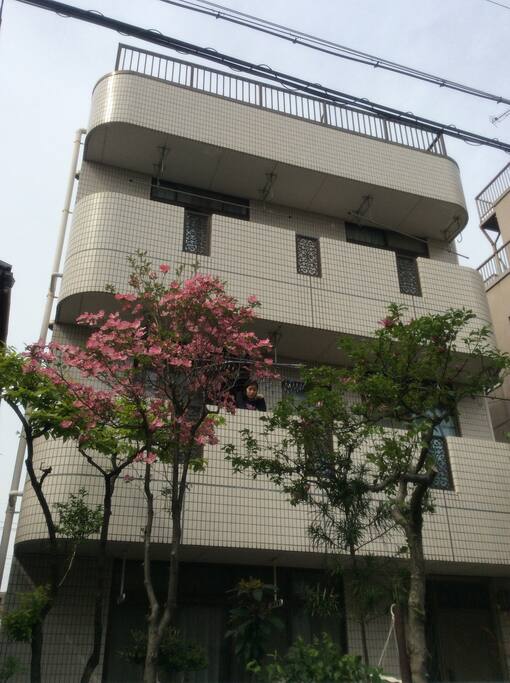 宿泊所の建物