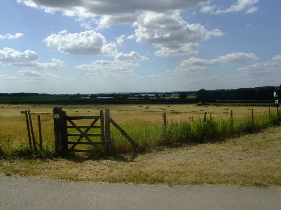 Far Reaching Views