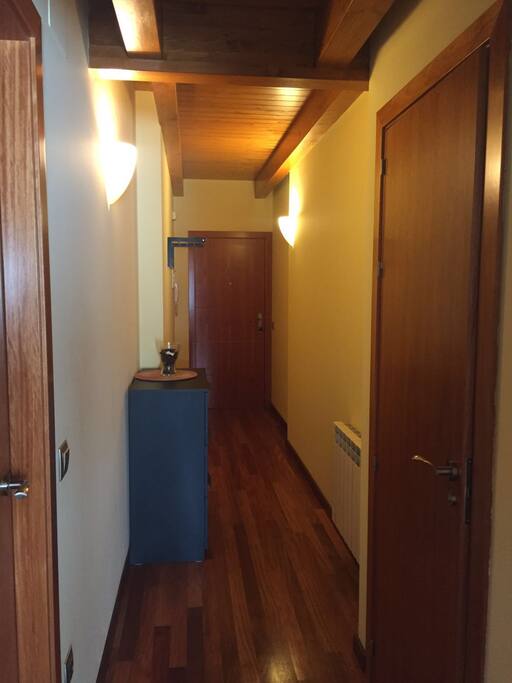 Recibidor y pasillo de entrada a la vivienda