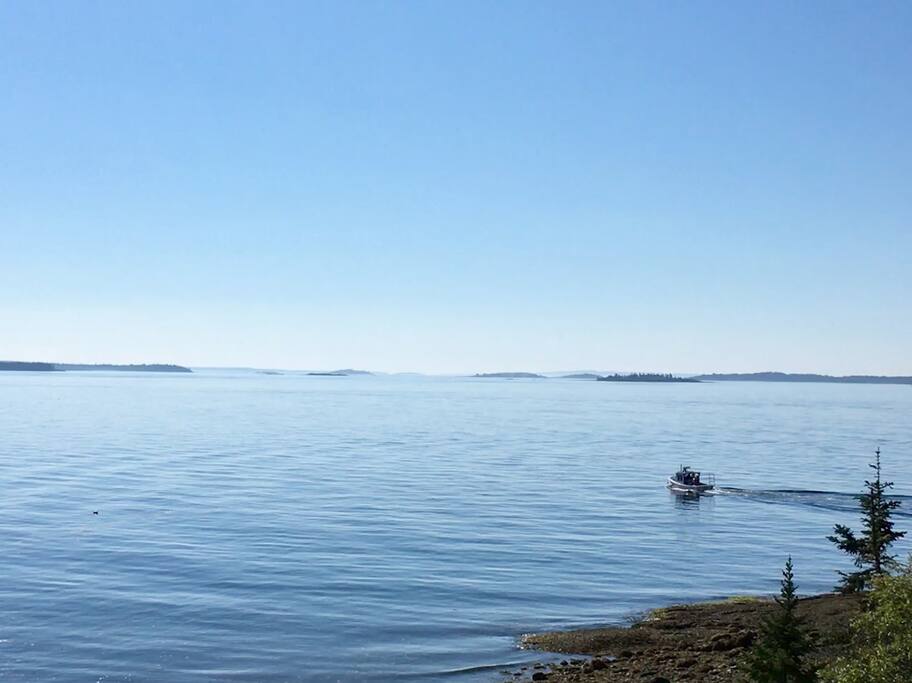 View from the bluff