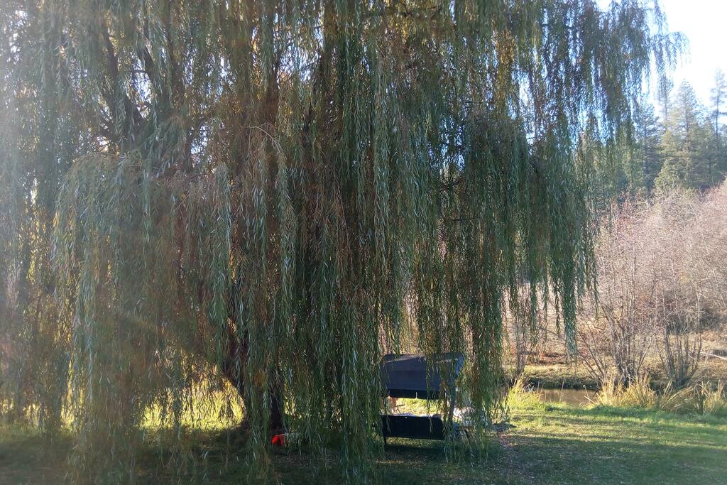 View from bedroom window.