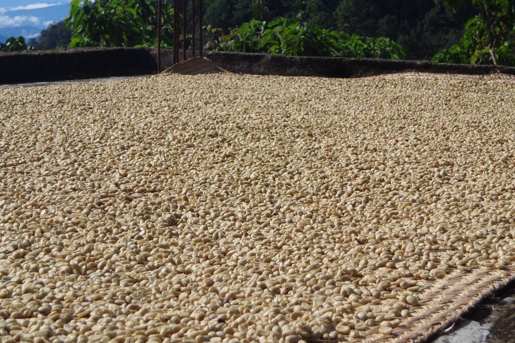 organic coffee to taste