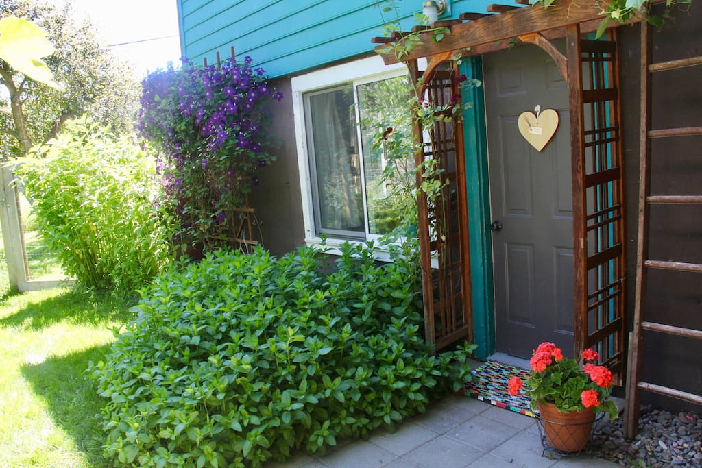 front door to apartment surrounded by mint, clematis, grapevines and fruit trees