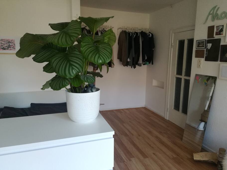 Eingang vom Flur zum Wohraum