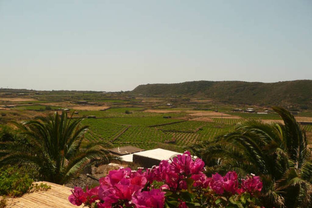 Vista spettacolare dal Dammuso-Amazing view from the Dammuso