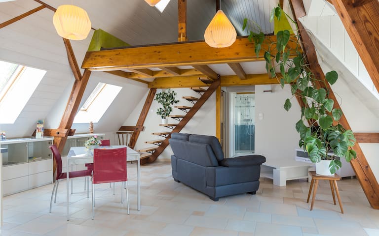 Airbnb Alsace Vacation Rentals Places To Stay