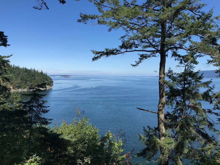 Guemes Island Vacation Rentals Airbnb