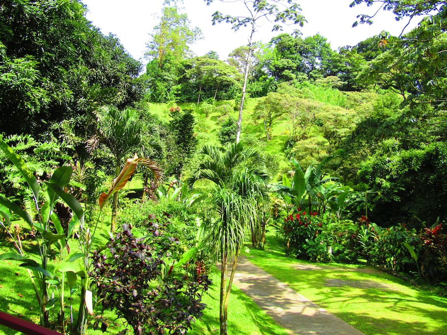 Grounds