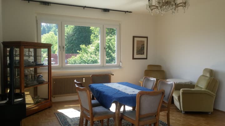 Ganzes Apartment (127m2), Waldrand, Ausblick - Klagenfurt