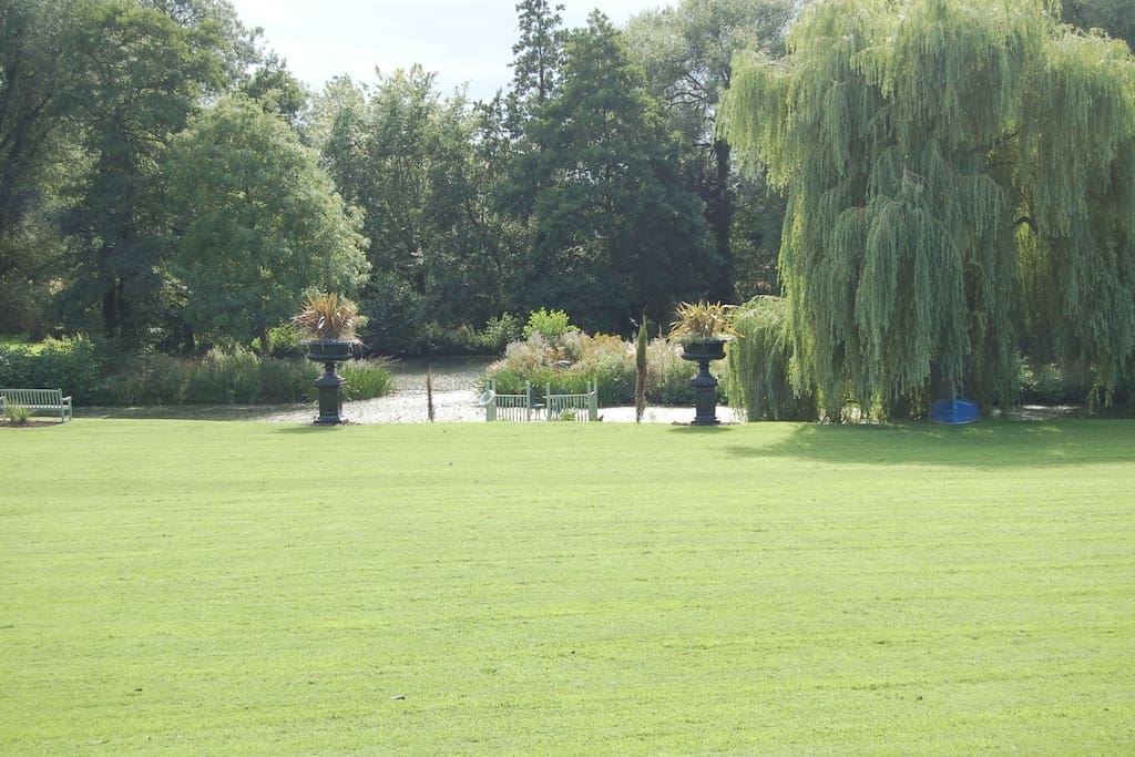 View from the living room and dining room