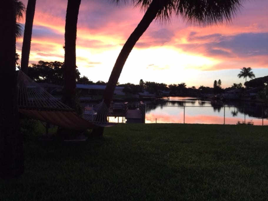 Sunset in the Backyard