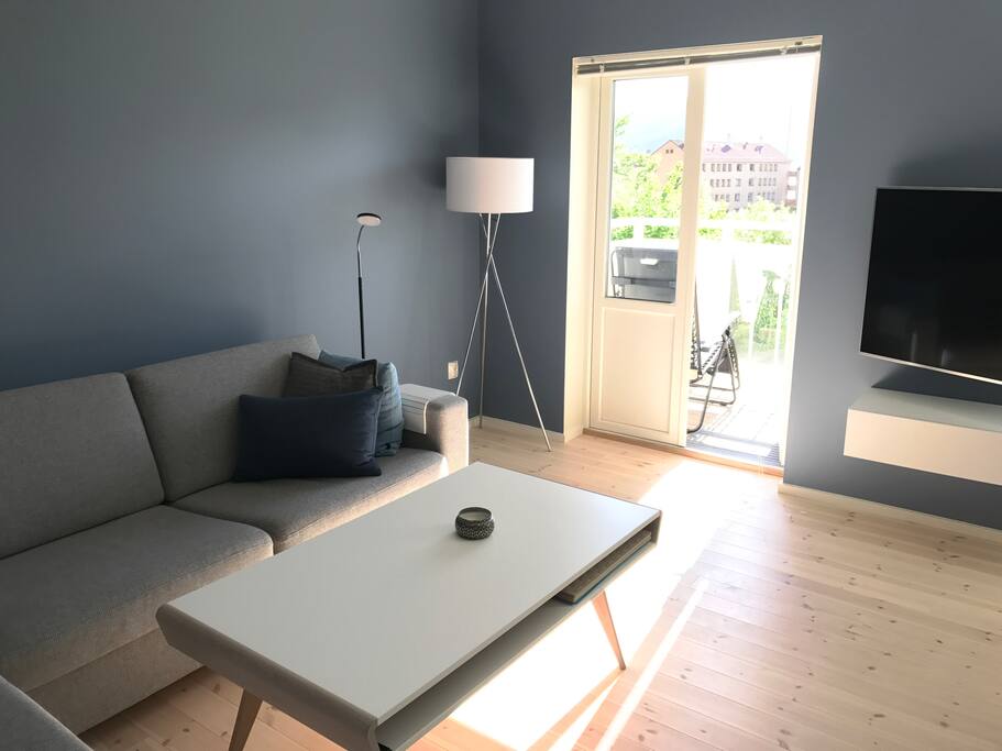 Living room, the other side with couch and entrance to balcony