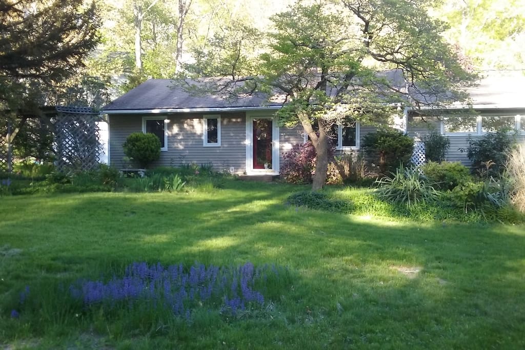 Frontal view of 'cottage-like' home.