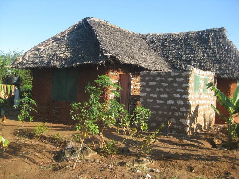 The backside of the house