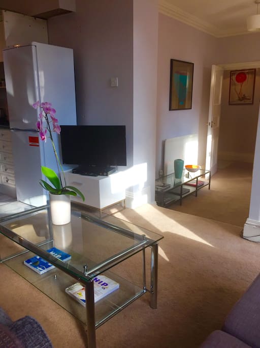 Brand new TV and large dvd collection