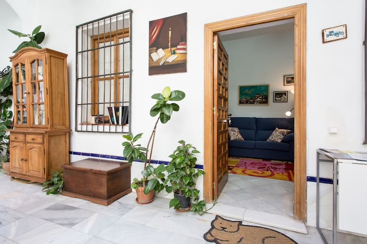 PATIO DE LAS FLORES CASCO ANTIGUO RTA:VFT/SE/00491