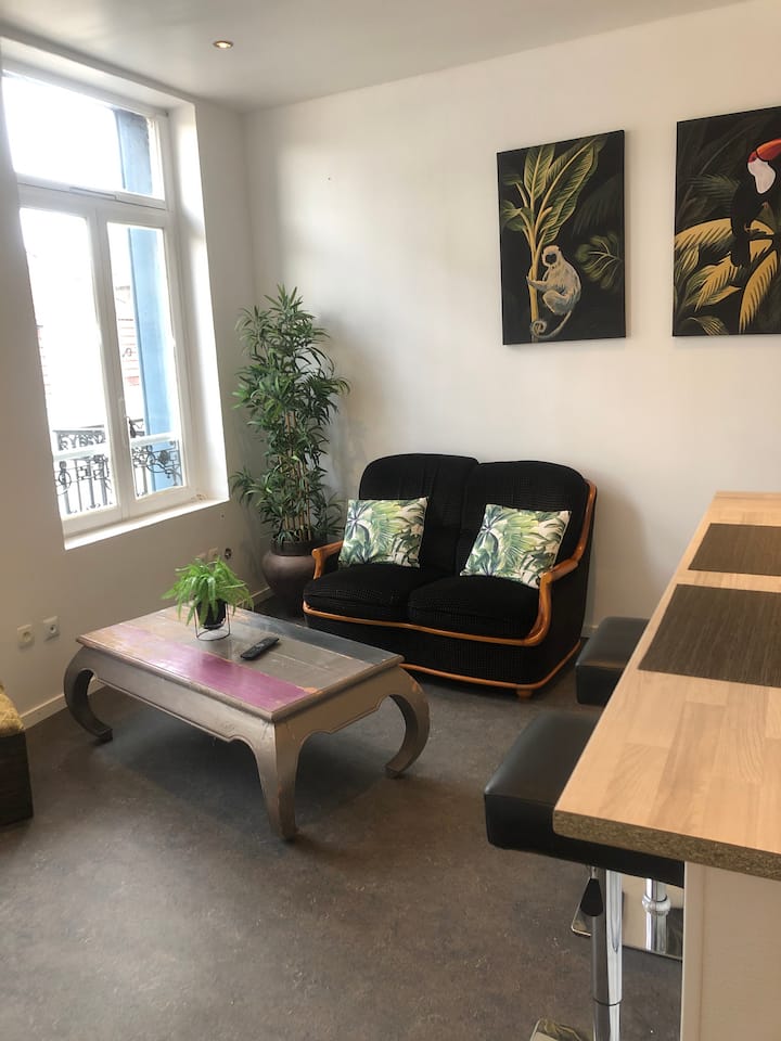 T2 furnished Dunkirk nearby beach Apartments for Rent in Dunkerque