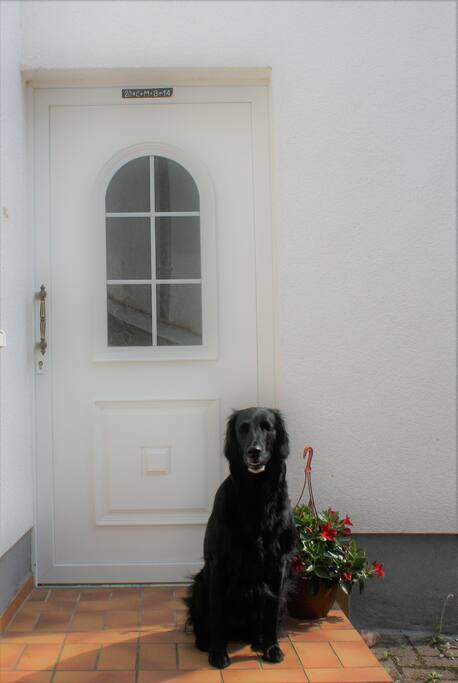 Willkommen!