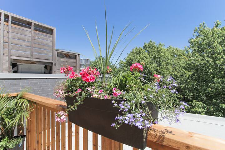 Duplex with rooftop terrace for friendly group gallery image 3