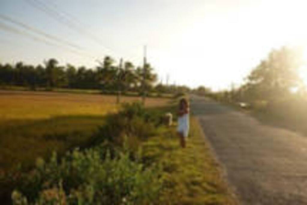 main road