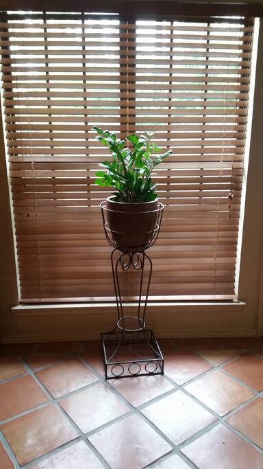 Apartment has a serene feel.
