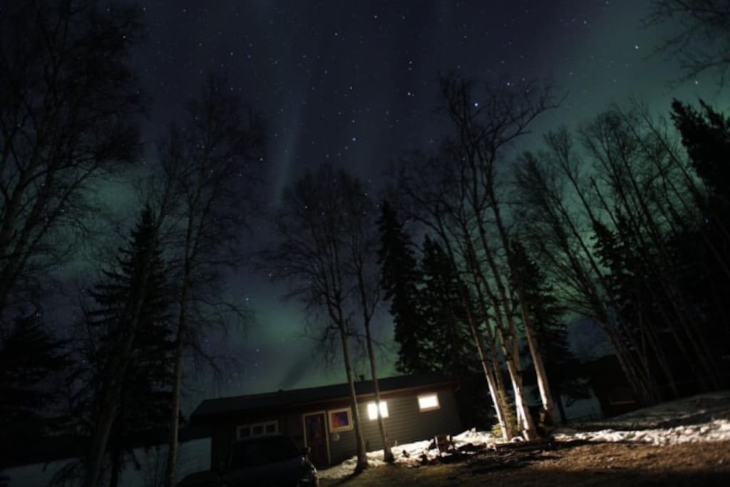 Northern Lights in the winter