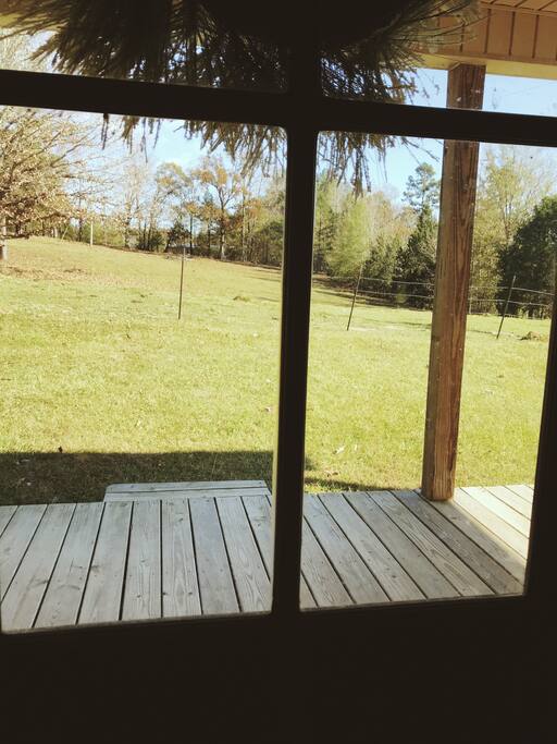 View from the front door