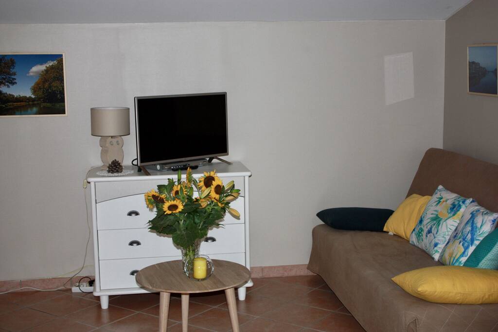 Le salon avec canapé convertible.