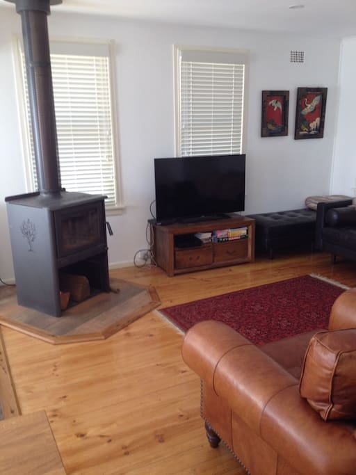 Wood burning stove + TV