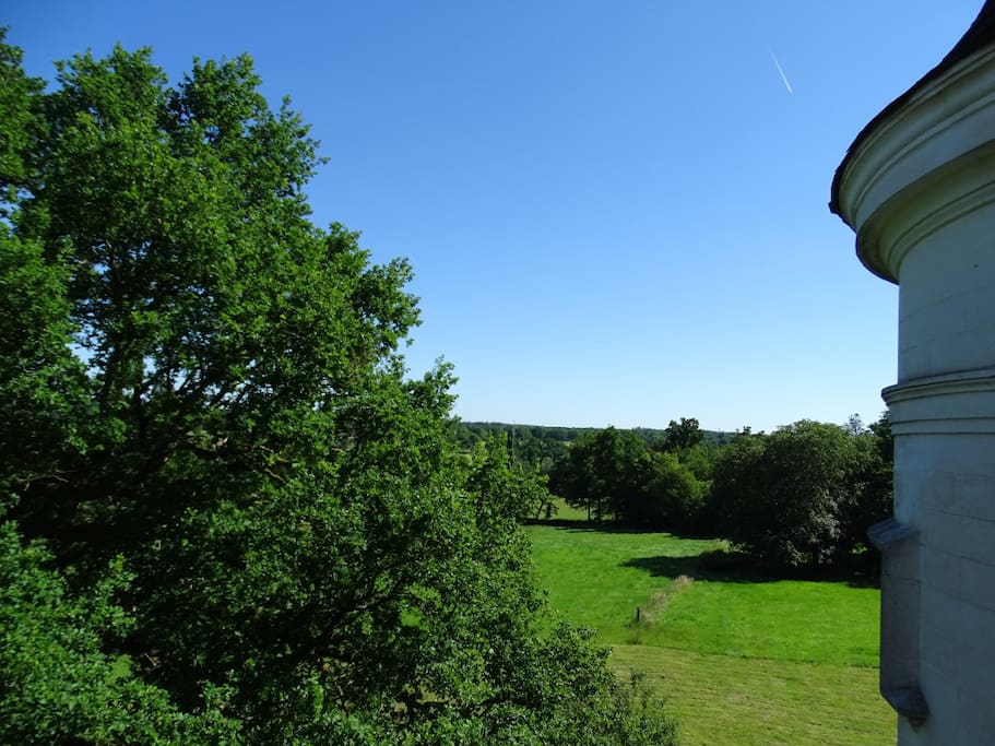 Vue sur le parc