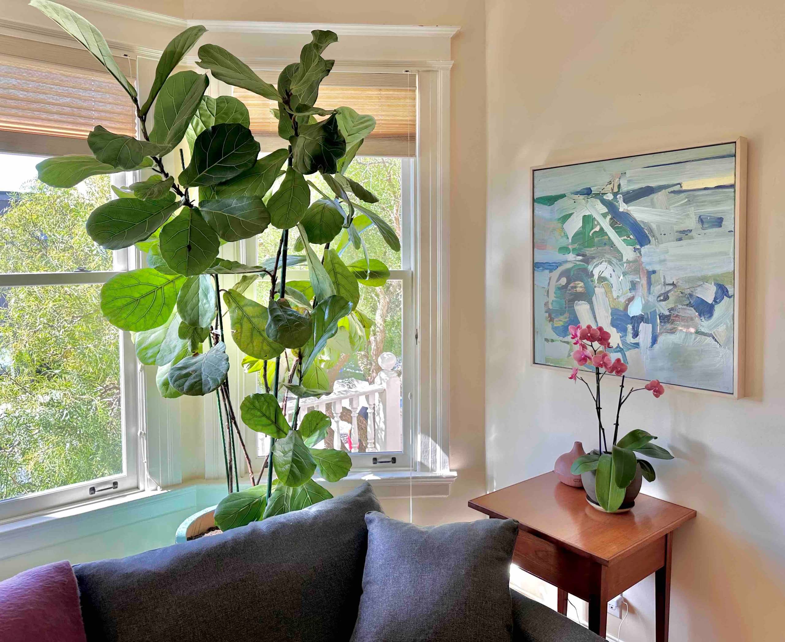 Home in San Francisco · ★4.95 · 3 bedrooms · 3 beds · 1.5 baths - Image 6