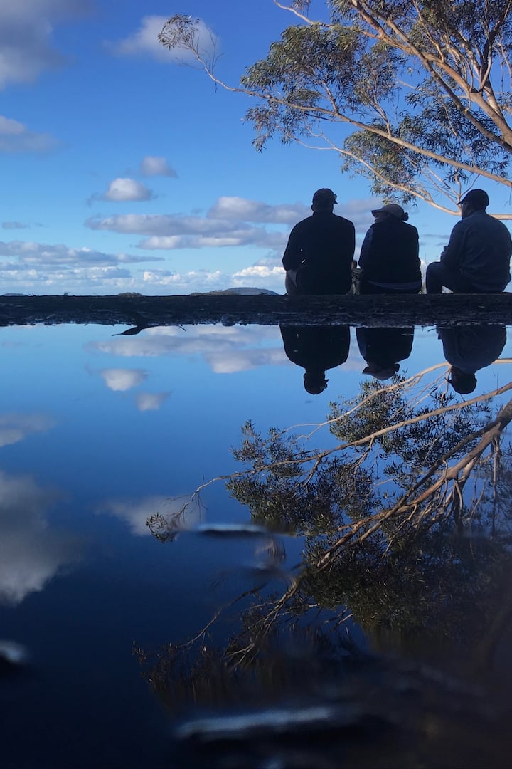 Blue Mountains Hike, Art and Coffee Airbnb