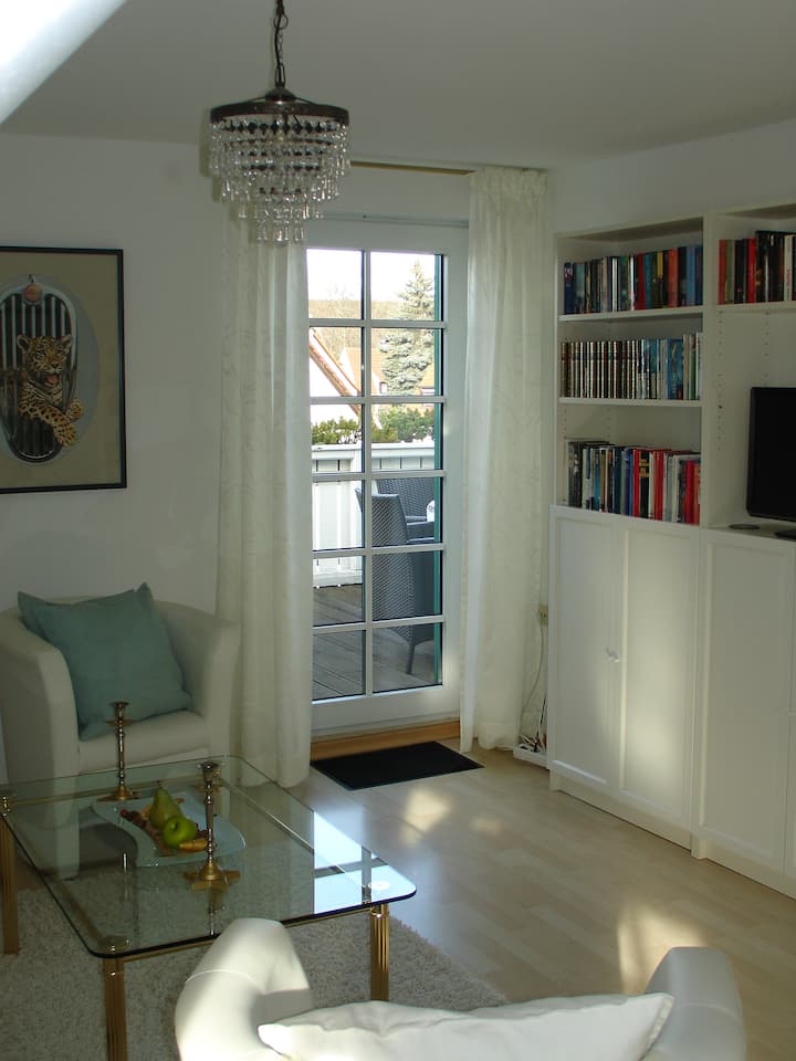 90 sqm bright ,chic 3-room apartment 30 sqm terrace