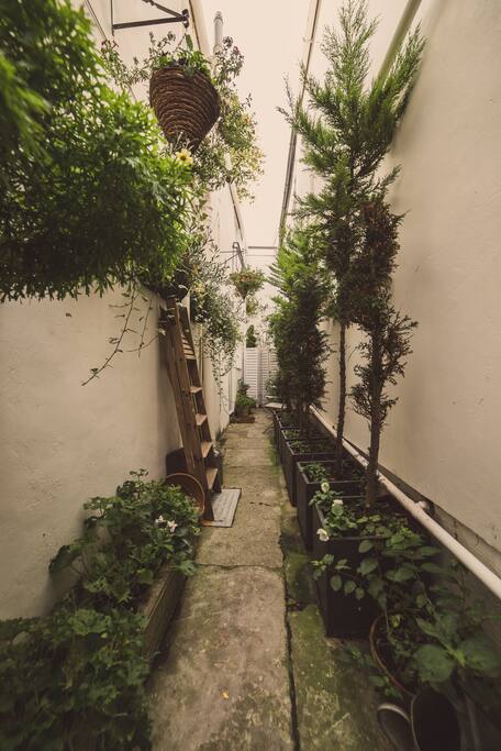 Cottage Courtyard