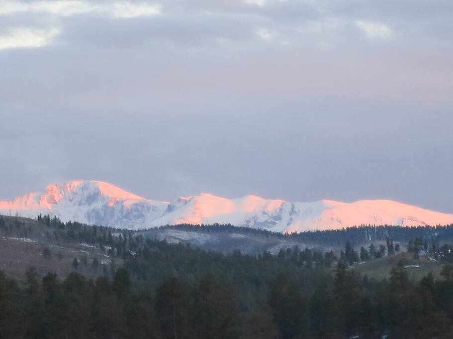 VIEW FROM THE DECK. EARLY SUMMER