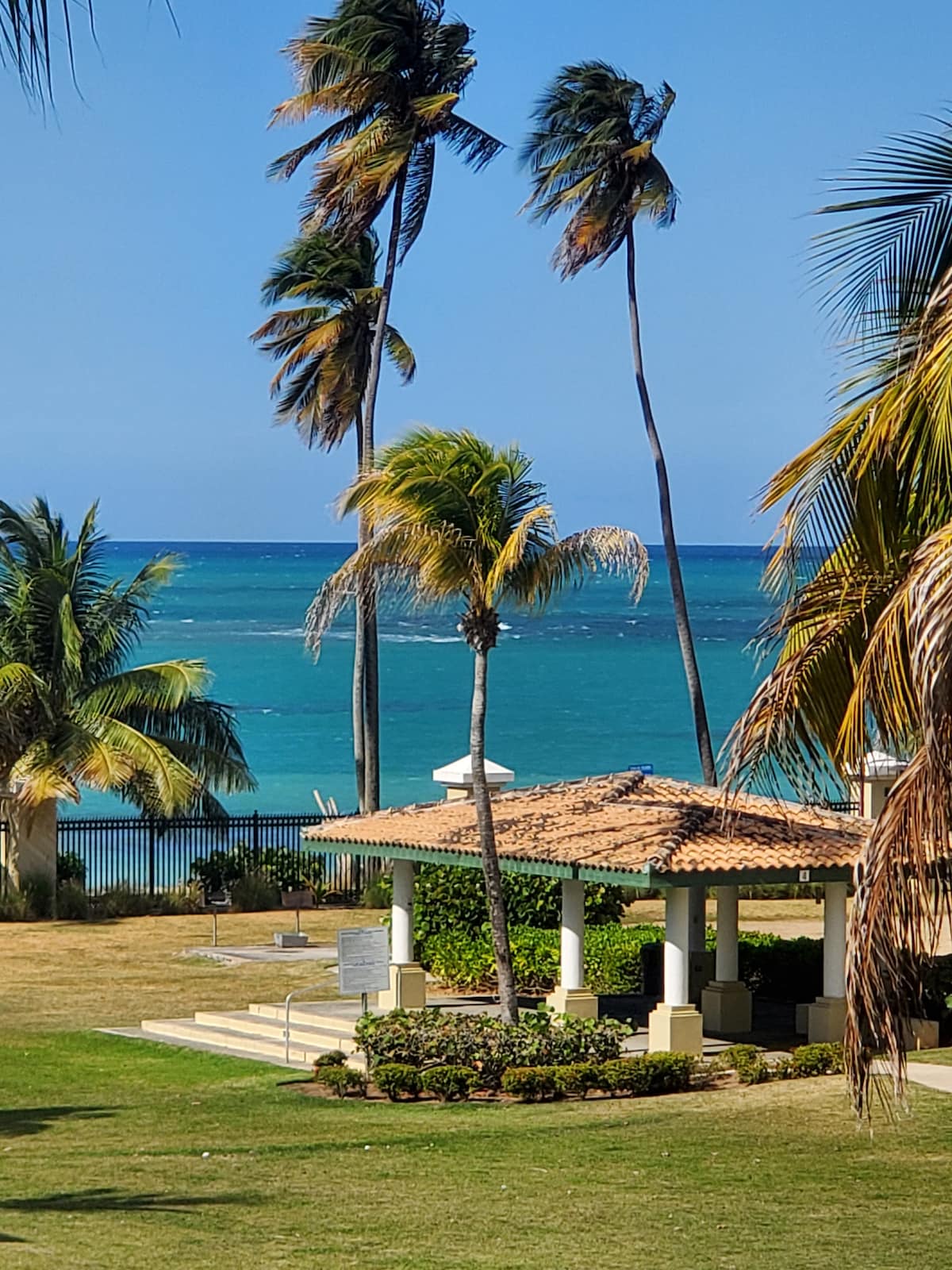 A landscaped area features a gazebo surrounded by lush palm trees, with the ocean visible in the background. The water showcases shades of blue, contrasting with the greenery and the structure's tiled roof.