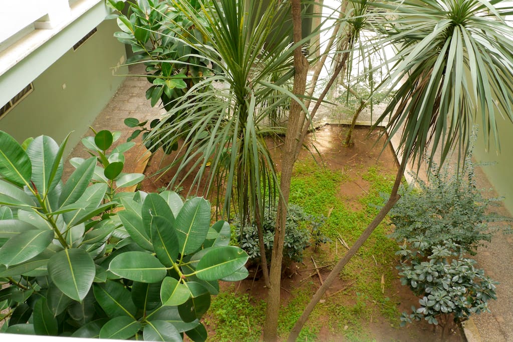 GIARDINO