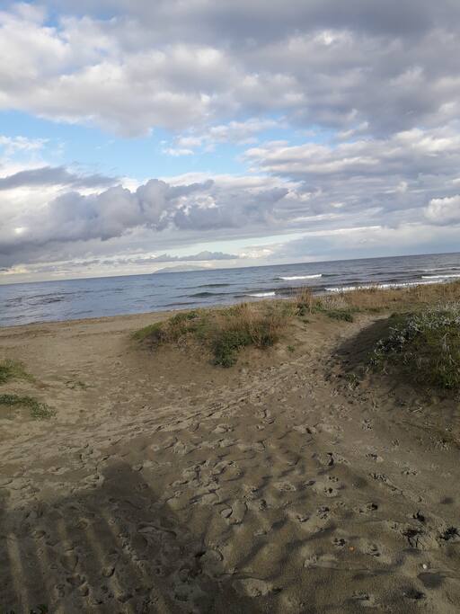 LA PLAGE A 50M