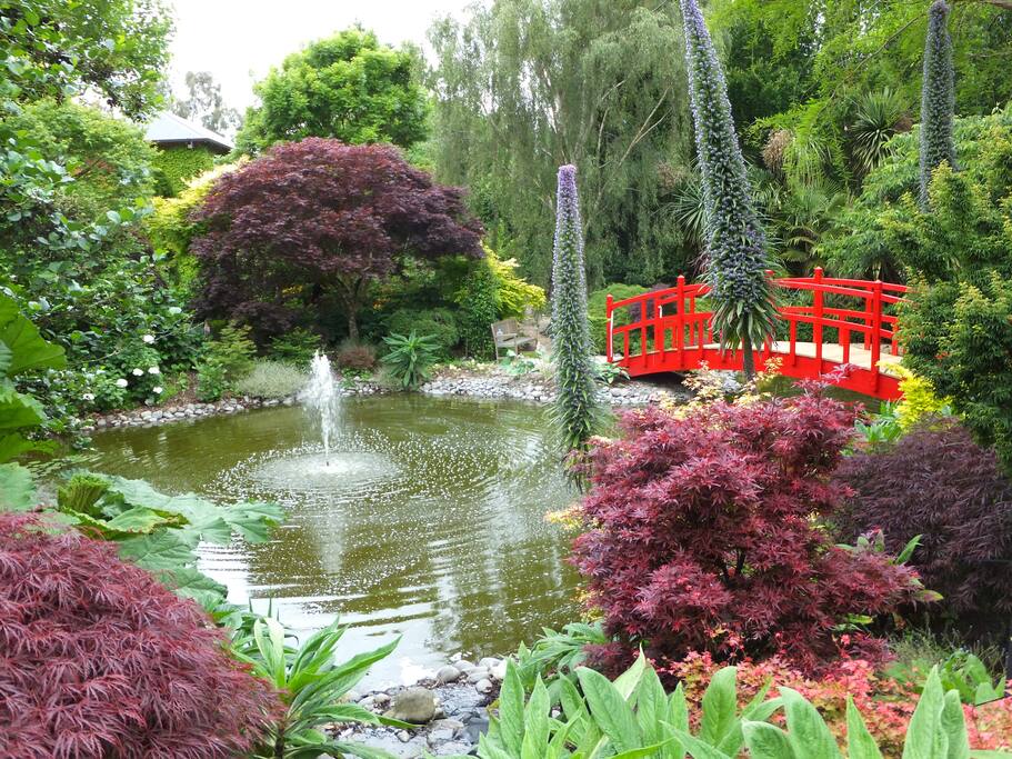 Our Garden