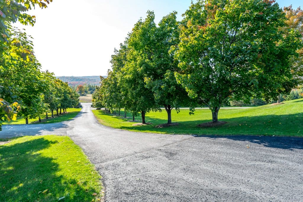 View from top of the driveway where my house is