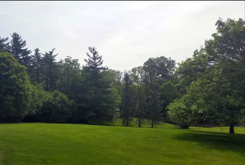 Camping area